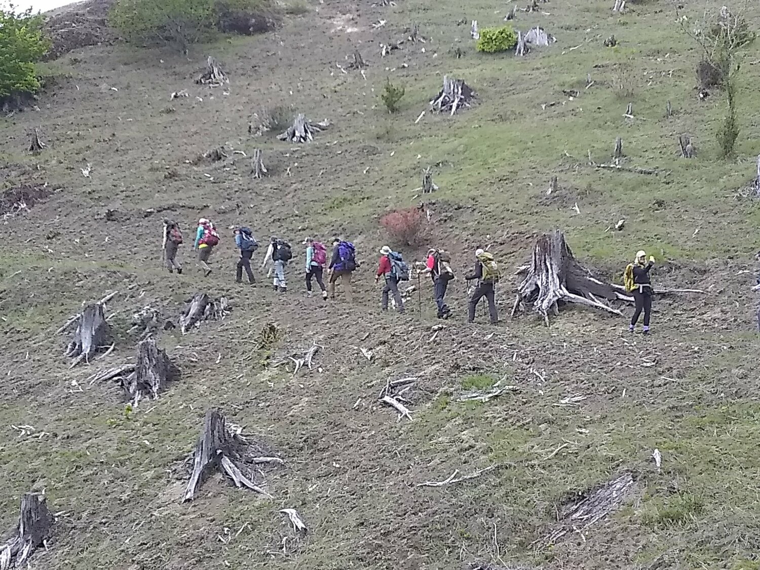 Volunteers hike to the Johnston Ridge Observatory on May 24 to retrieve equipment after a landslide earlier this month cut off access to the site.