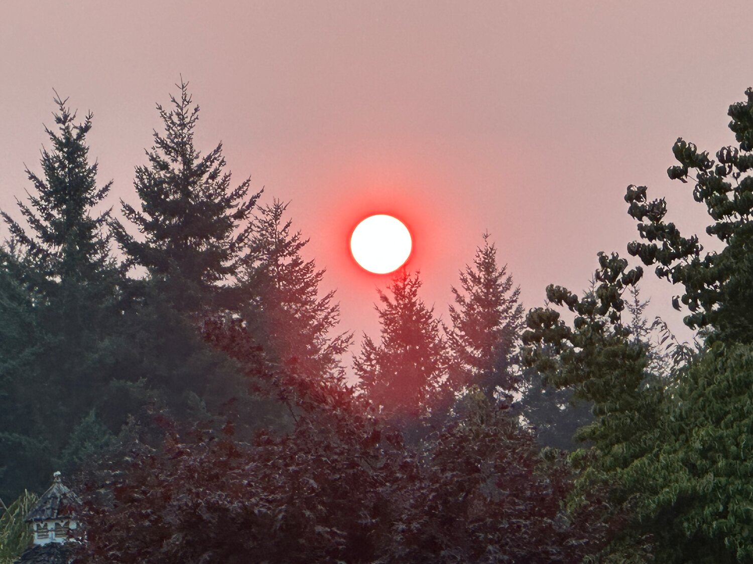 Taylor Giles submitted these photos from Napavine earlier this year as smoke from regional wildfires continued to blanket the region.