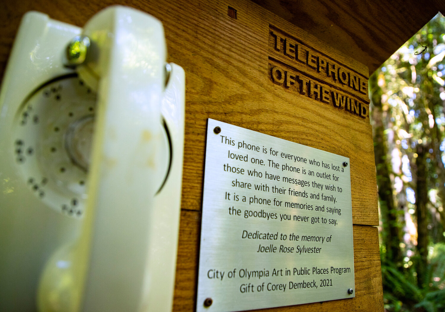 Telephone of the Wind in Thurston County—The power of a one-way phone call to cope with grief