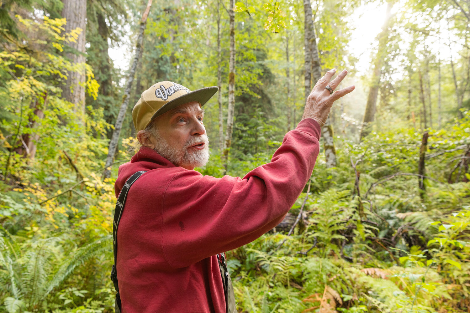 John Squires, a founding member of the Pinchot Partners, points as sunlight shines through the Grove of the Matriarchs on Thursday, Sept. 28, in the Gifford Pinchot National Forest.
