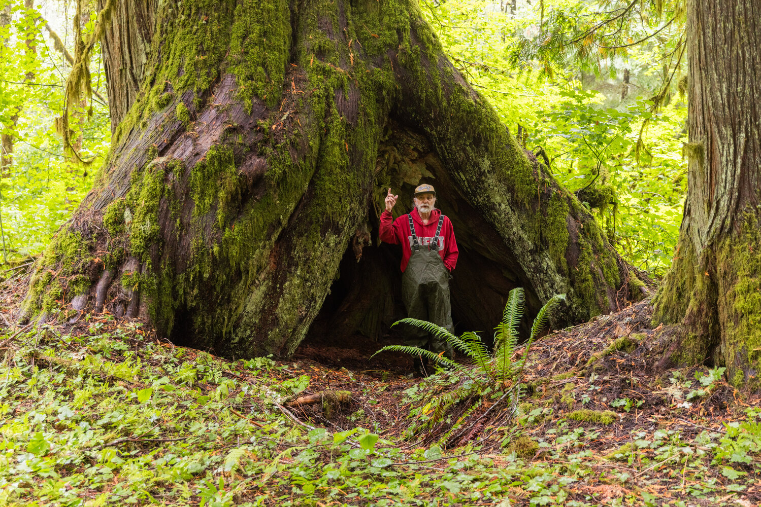 John Squires, a founding member of the Pinchot Partners, points upwards to a tree in the Grove of the Matriarchs on Thursday, Sept. 28, in the Gifford Pinchot National Forest.