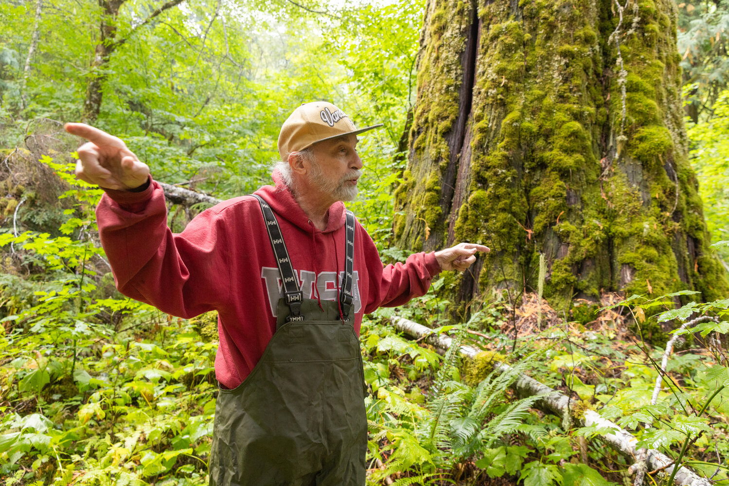 John Squires, a founding member of the Pinchot Partners, talks about trees in the Grove of the Matriarchs on Thursday, Sept. 28, in the Gifford Pinchot National Forest.