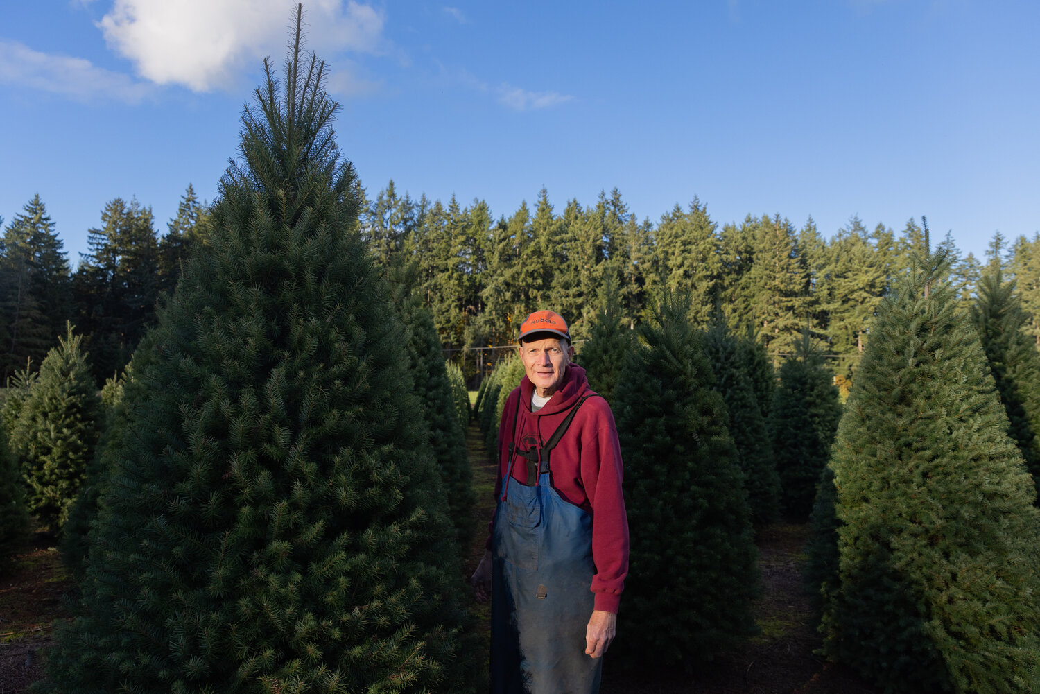 Don Tapio smiles for a photo at the Christmas Valley Tree Farm in Rochester on Monday, Nov. 13.