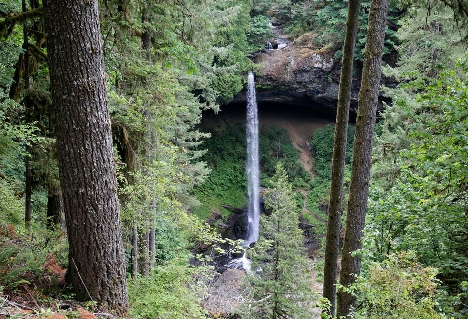 The new North Canyon area at Silver Falls State Park includes the North Rim Trail, which leads to a viewpoint of North Falls, as well as a large parking lot and restroom.