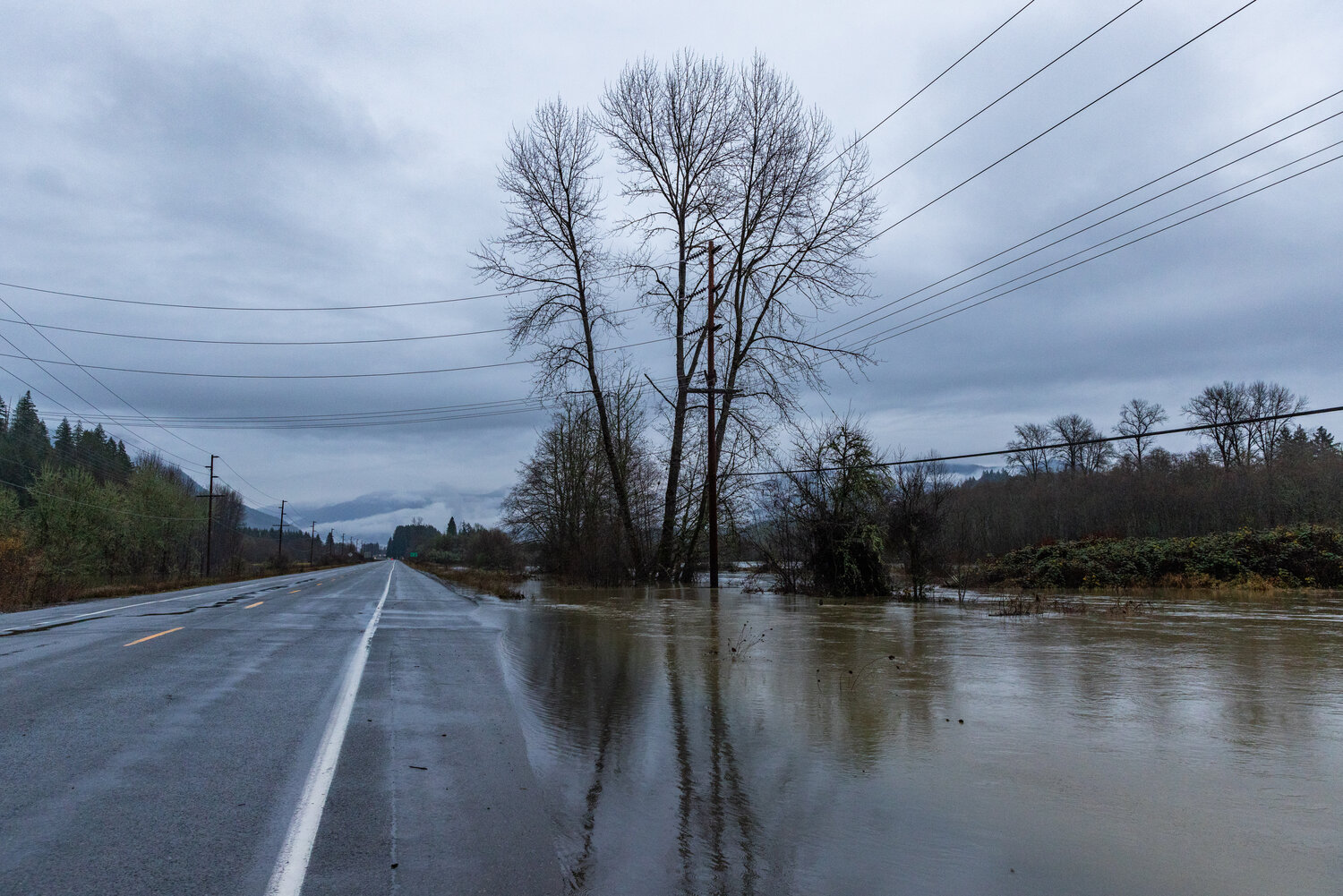 Trees and electrical poles stand in water from the Cowlitz River in Randle on Wednesday, Dec. 6.