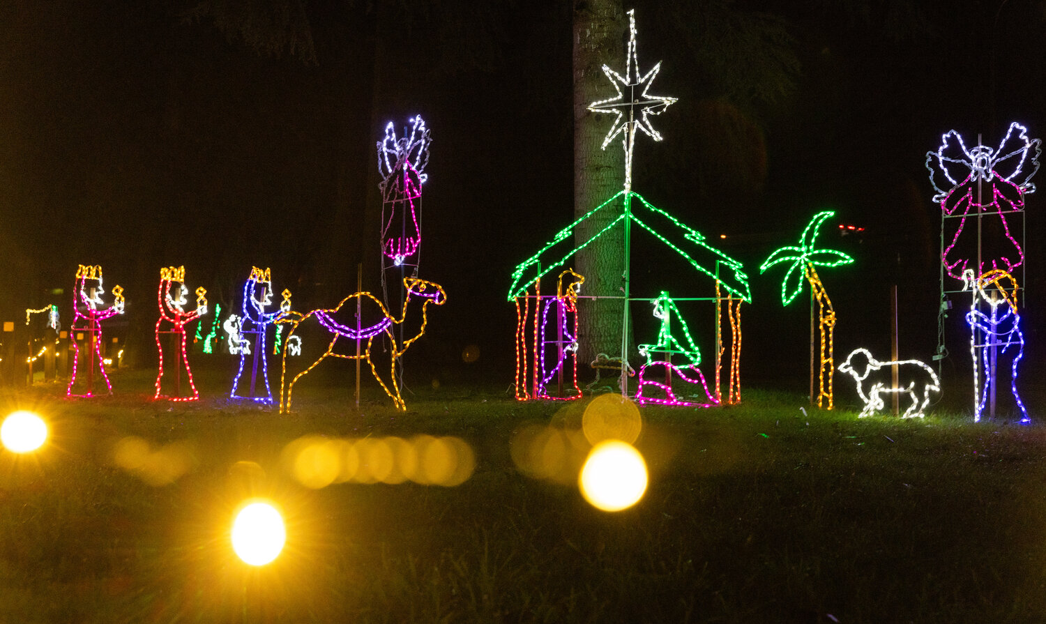 Lights illuminate a manger scene at Borst Park in Centralia on Thursday, Dec. 7.