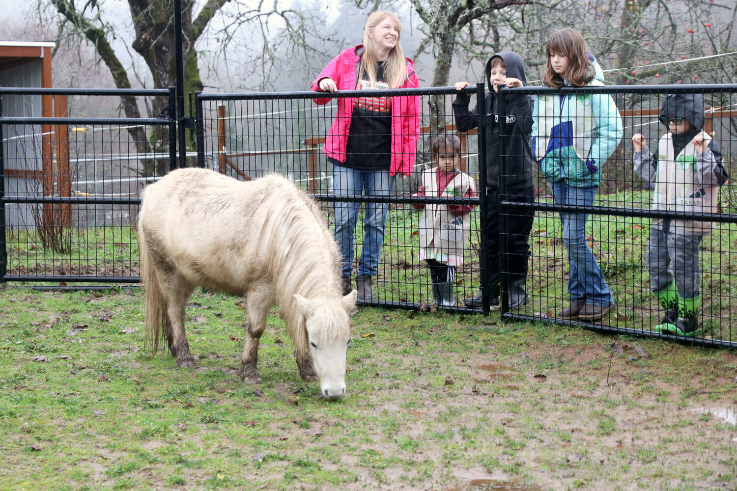 Sweet Tomatoes Learning Center Executive Director Kathleen Reed and her students watch a pony graze at the center’s property in Chehalis on Wednesday, Dec. 6.