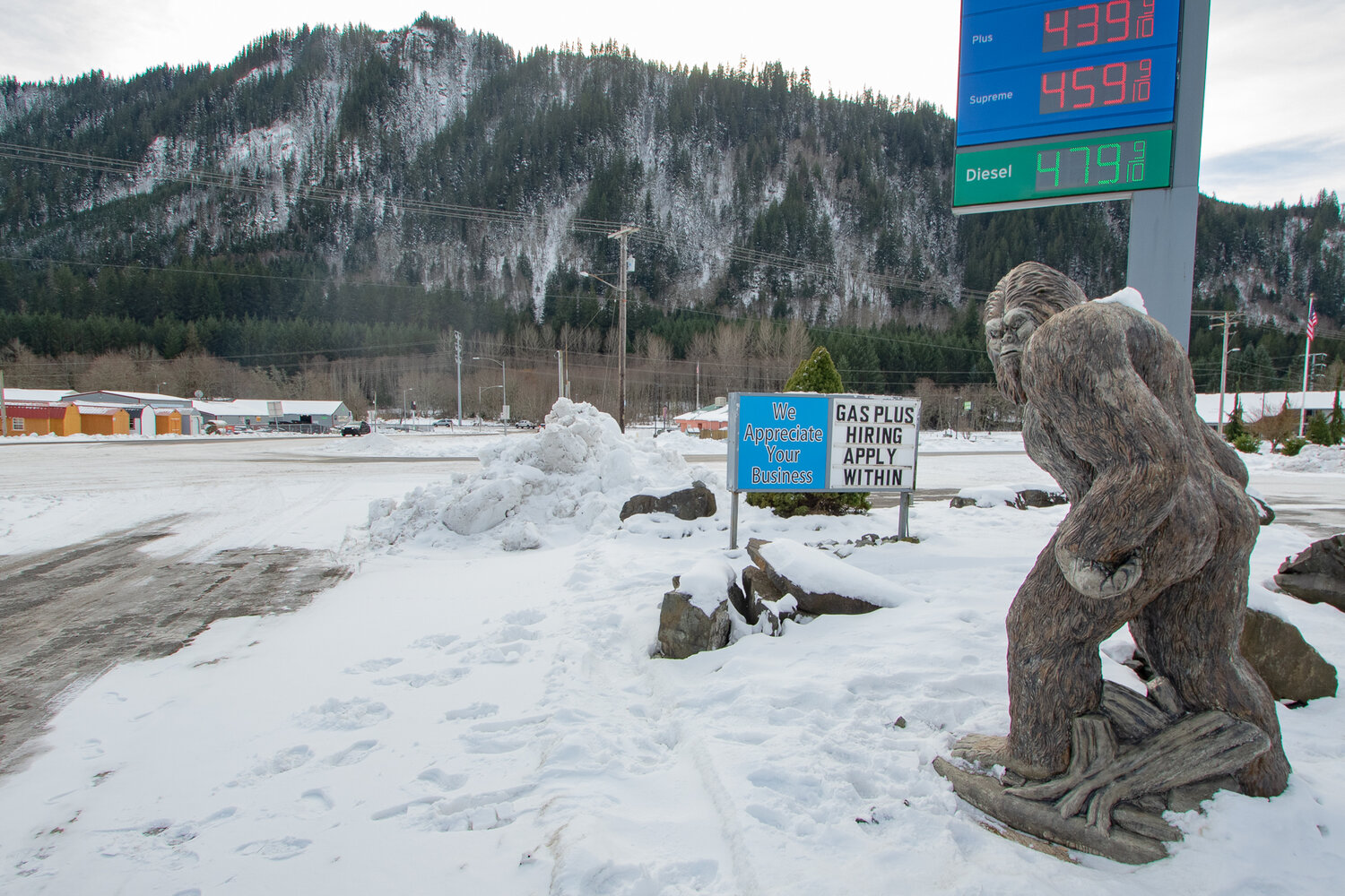 This bigfoot statue outside of the Gas Plus convenience store in Morton is seen on Sunday, Jan. 14, keeping a watchful eye on traffic in the snow.